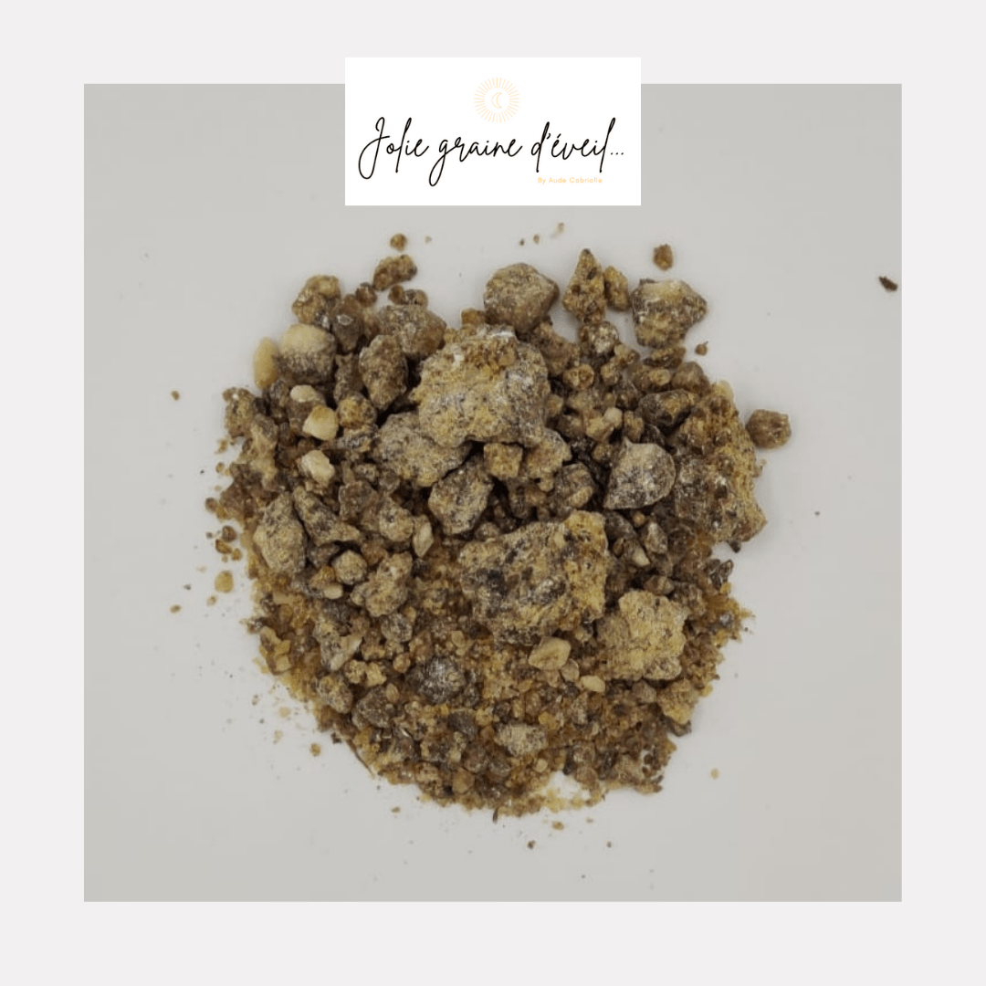 Encens Benjoin 1 Encens Benjoin 1