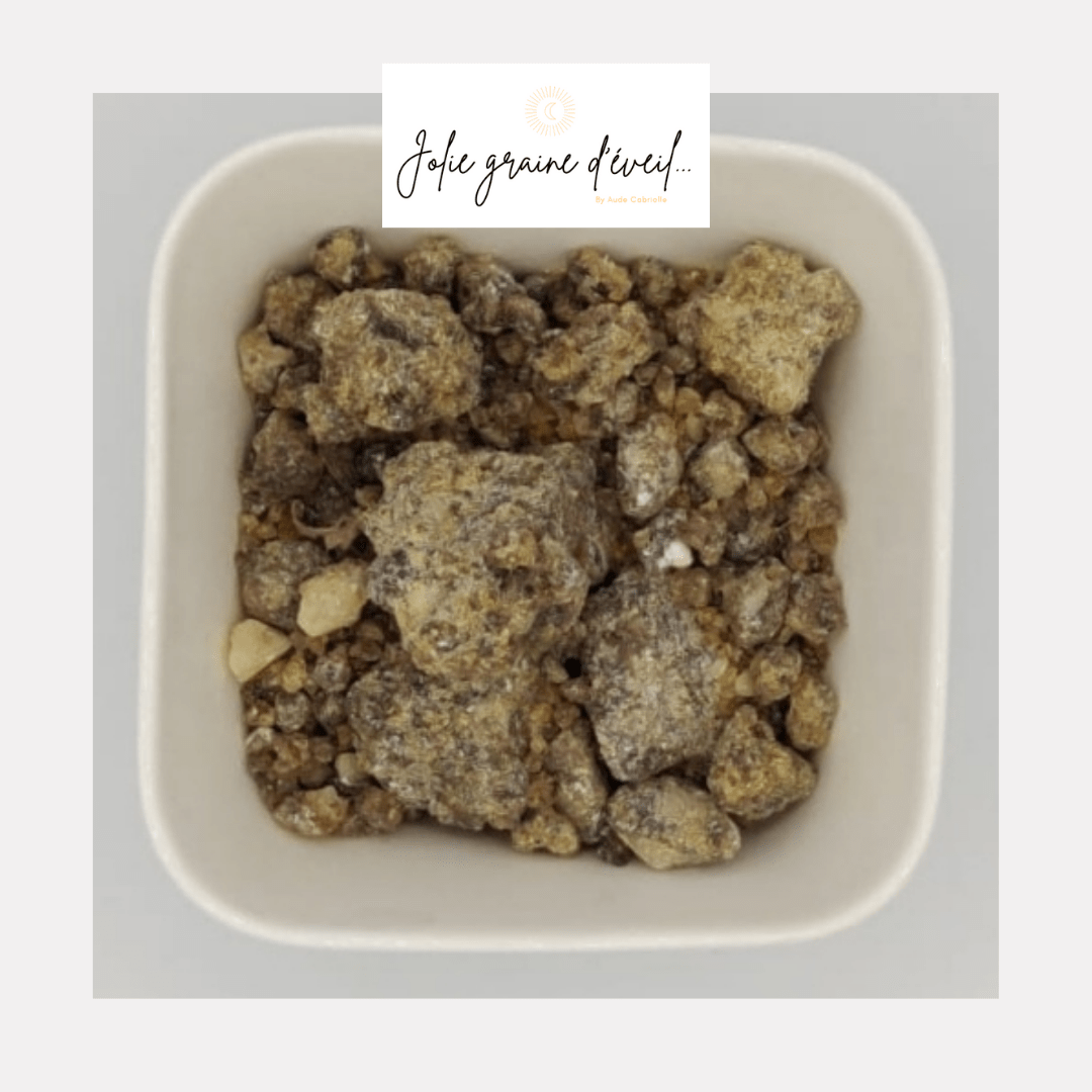 Encens Benjoin Encens Benjoin