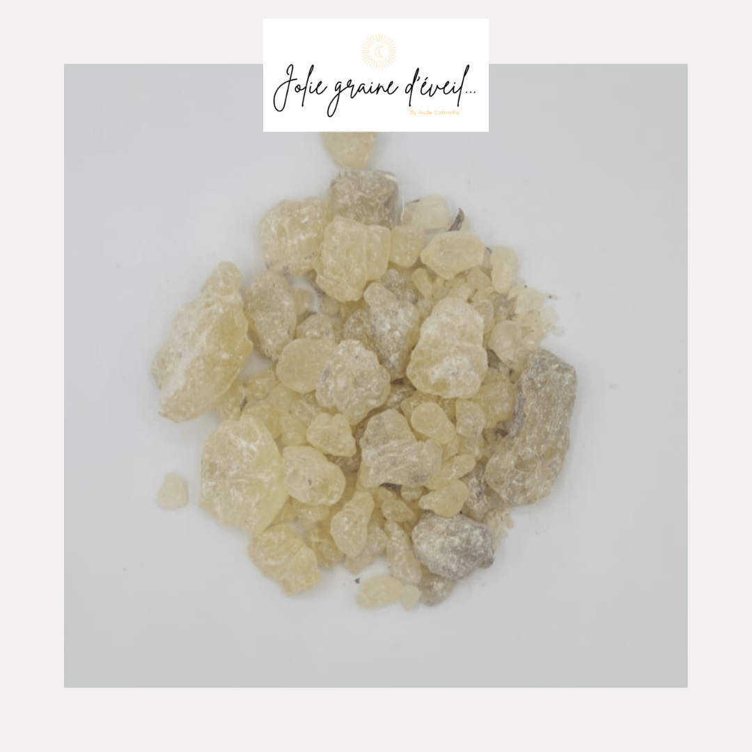 Gomme de dammar 1 Gomme de dammar 1