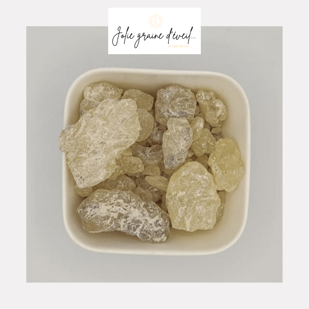 Gomme de dammer Gomme de dammer