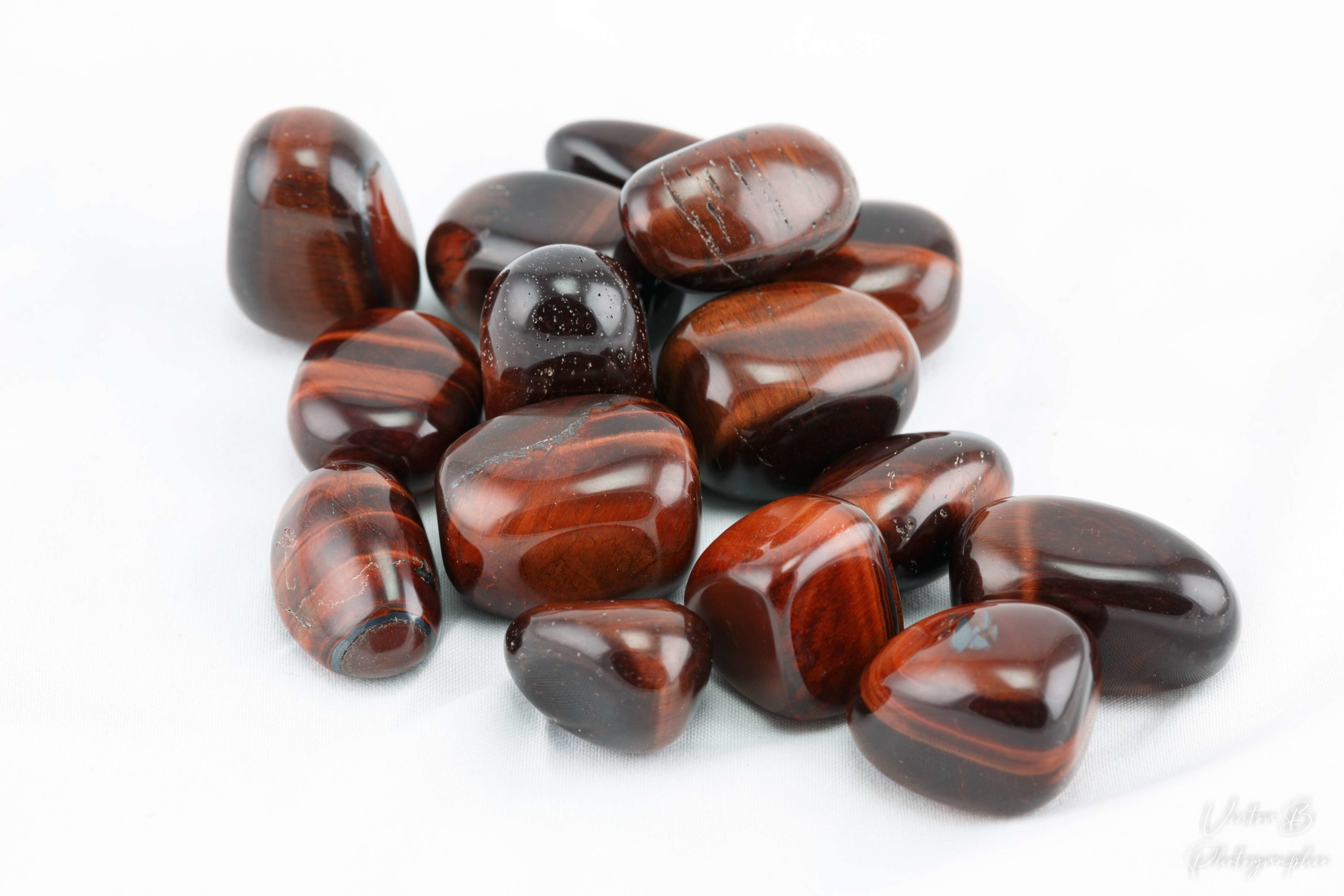 Oeil de taureau_ok Oeil de taureau_ok