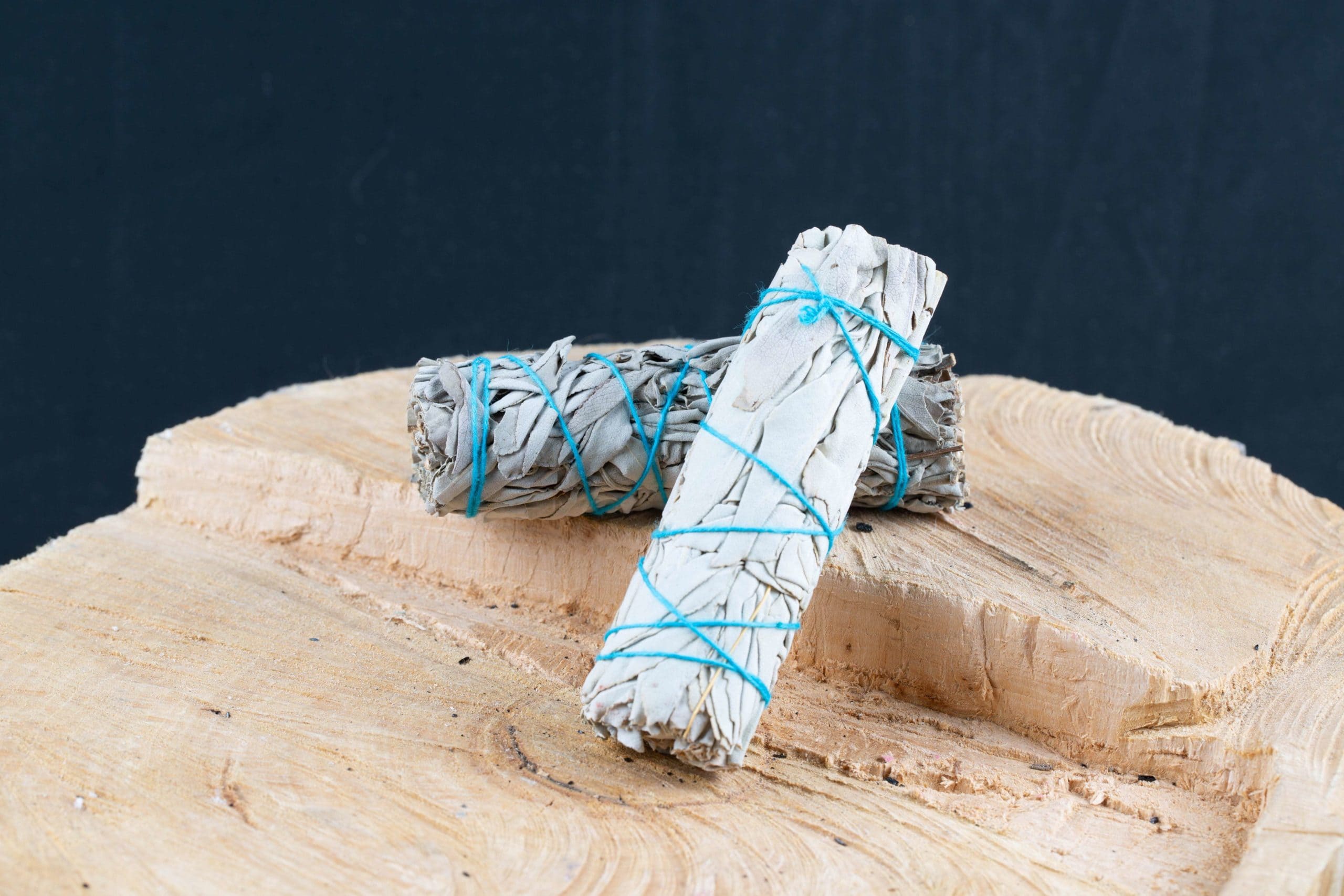 Sauge Amérindienne Sauge Amérindienne