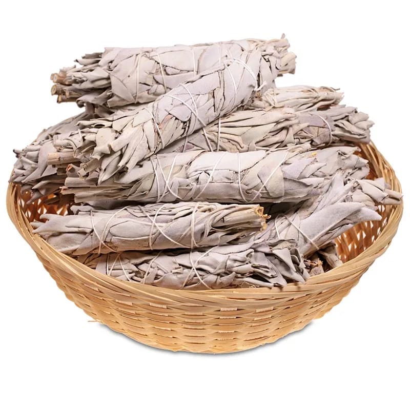 Sauge blanche Sauge blanche