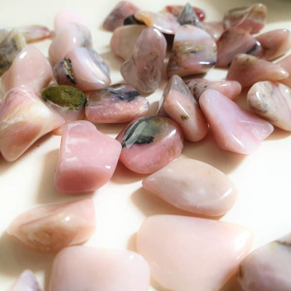 oppale rose des Andes oppale rose des Andes