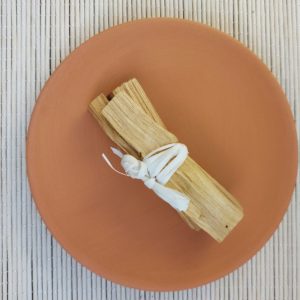 Assiette terre cuite 2