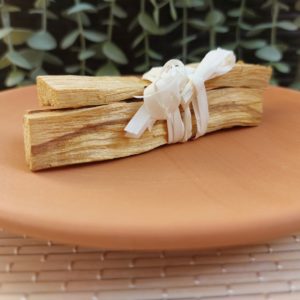 Assiette terrecuite 3