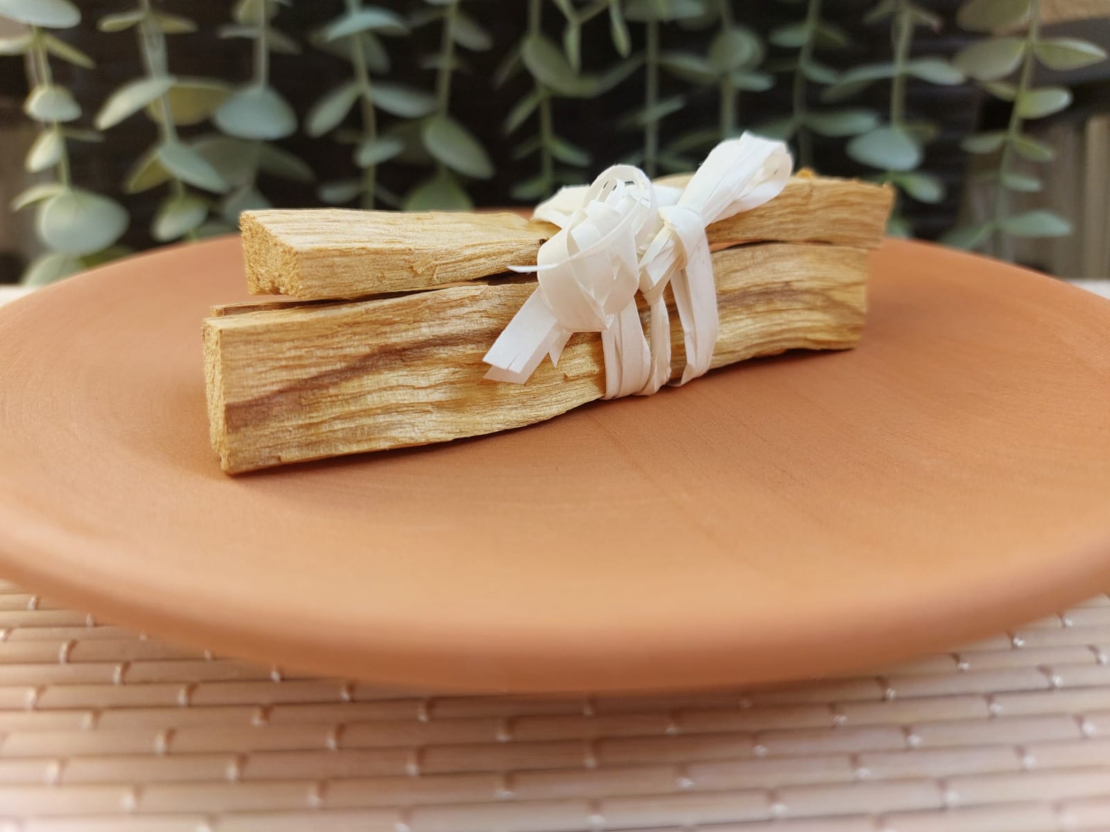 Assiette terrecuite 3