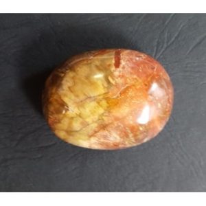 galet-bois-fossile (1)