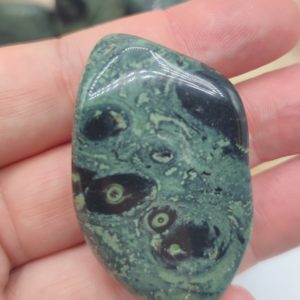 Jaspe kambaba 2 Jaspe kambaba 2